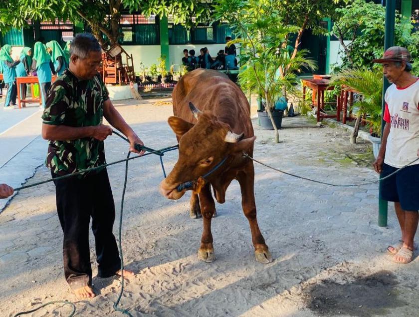 Bukti Cinta Sesama, MTs Negeri 3 Sleman Selenggarakan Kurban 